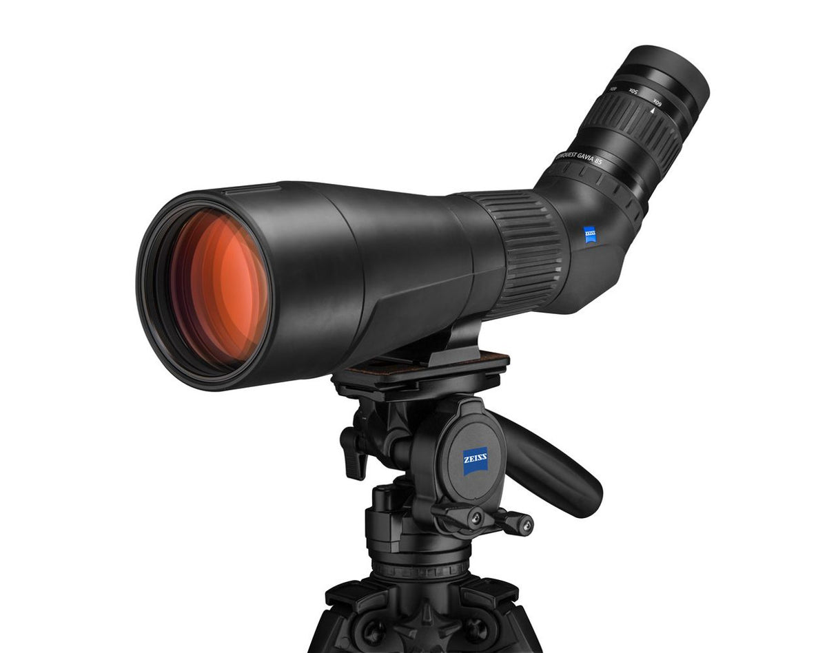 Zeiss Conquest GAVIA 85 (incl.30-60x Eyepiece) (Brand New - OPEN BOX)